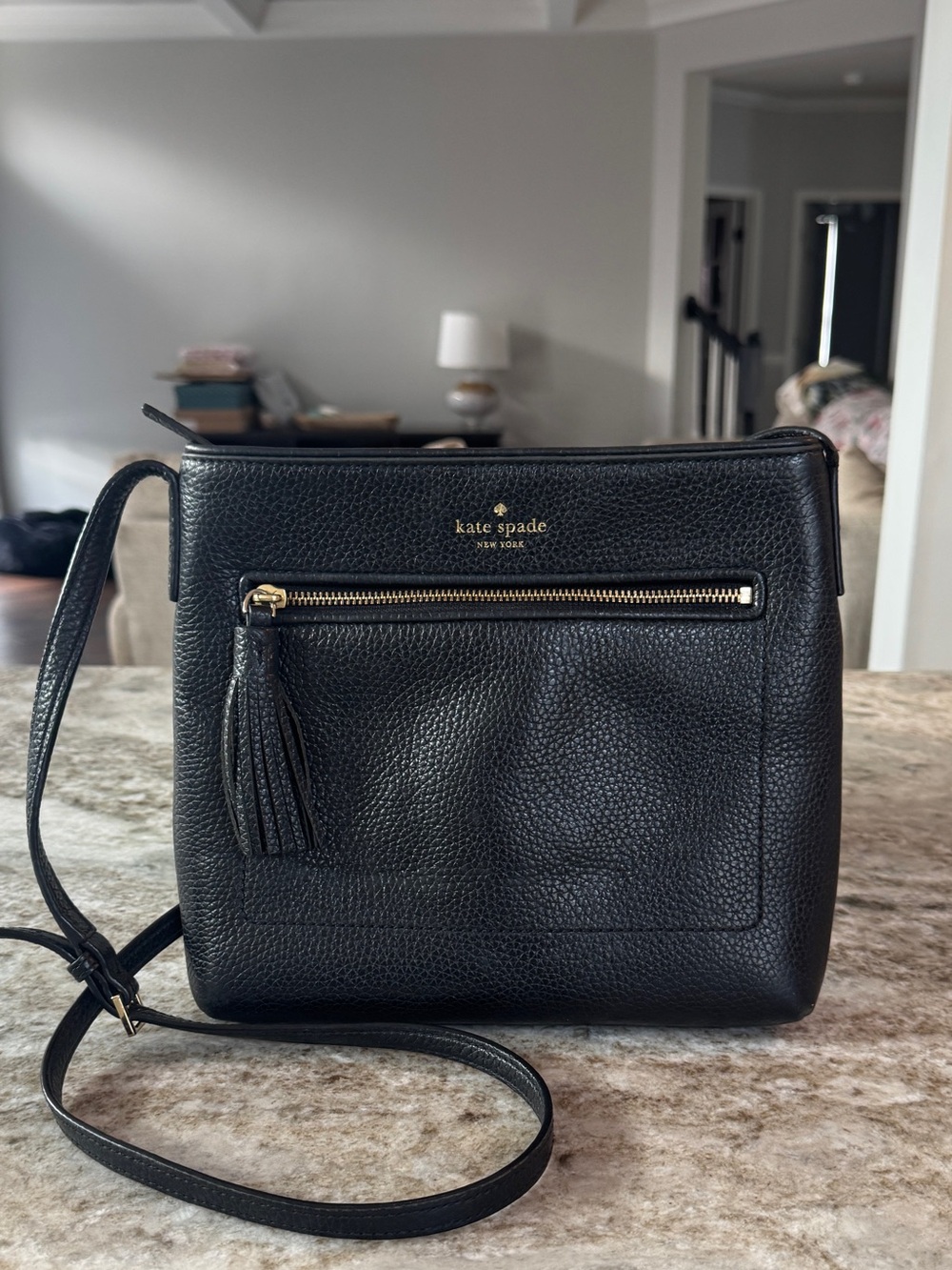 Kate Spade Chester Desi Crossbody Bag